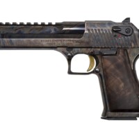 Armurerie Malgat Armurerie Dordogne PISDES35 01