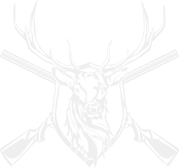 Armurerie Malgat Armes A Bergerac Design 2