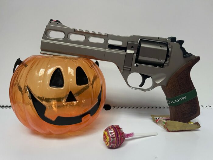 CHIAPPA RHINO 60 DS 6” 357 MAG