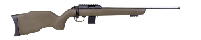 DIANA R-22 Classic